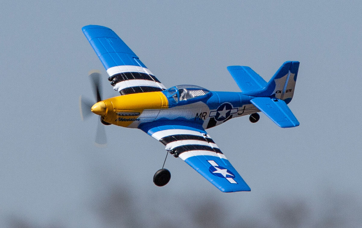 Micro Warbird RTF Airplane Rage