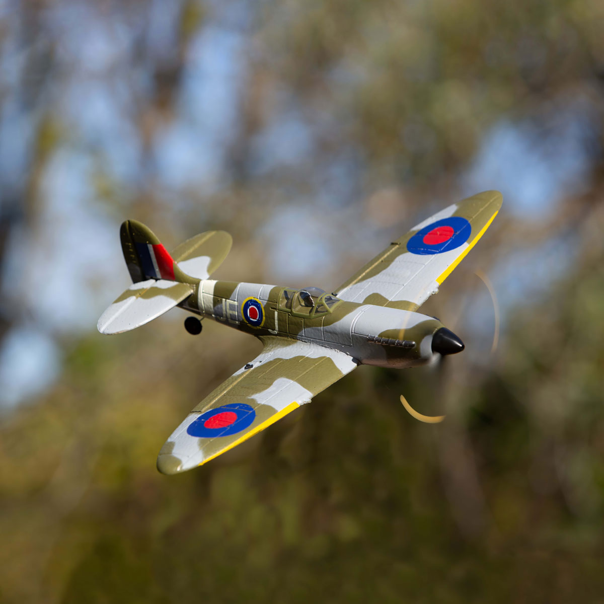 Micro Warbird RTF Airplane Rage