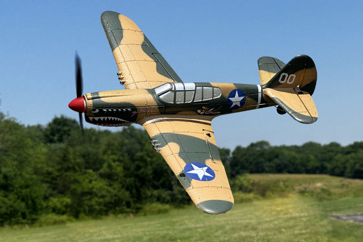Micro Warbird RTF Airplane Rage