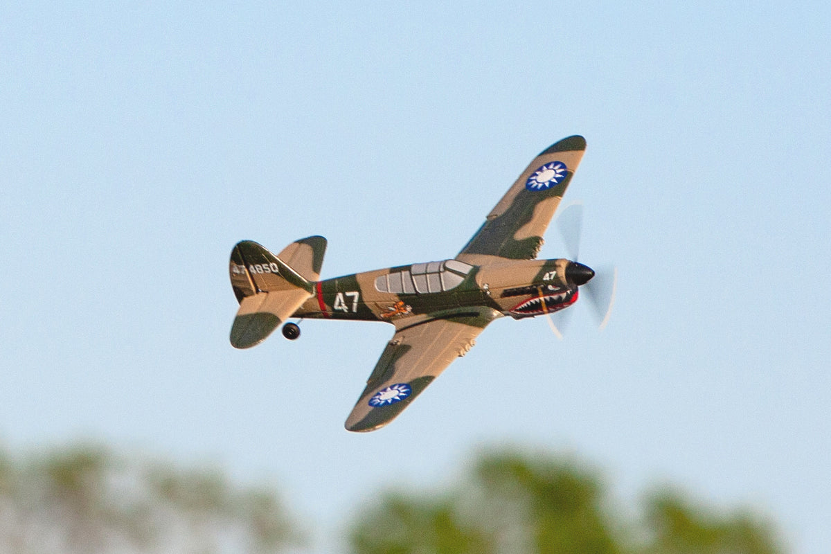 Micro Warbird RTF Airplane Rage