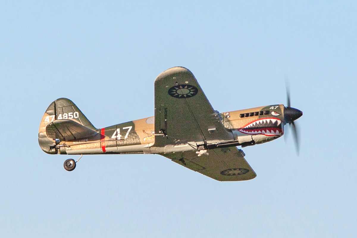 Micro Warbird RTF Airplane Rage