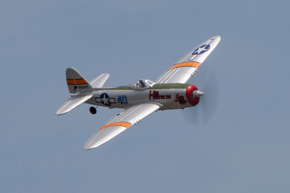 Micro Warbird RTF Airplane Rage